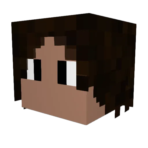 Francisqualy Minecraft avatar head, 3D render