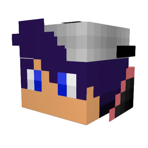 Franciszek1 Minecraft avatar head, 3D render