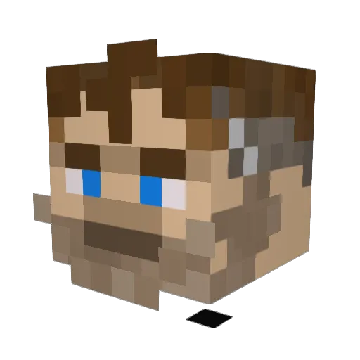 Francium223 Minecraft avatar head, 3D render