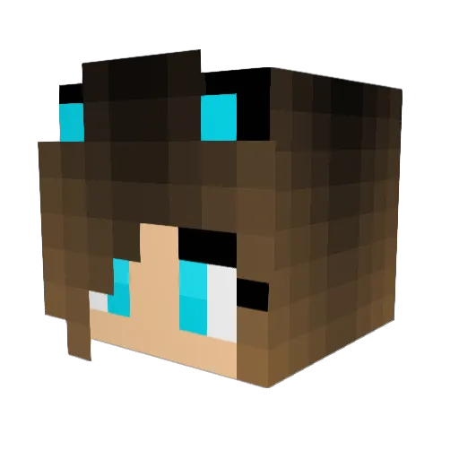 FranckZhou Minecraft avatar head, 3D render