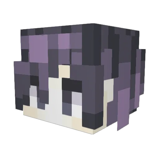 Franco11501 Minecraft avatar head, 3D render