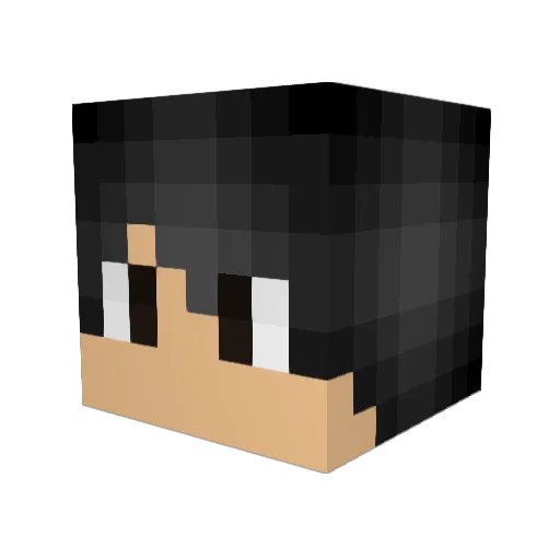 Franco310 Minecraft avatar head, 3D render