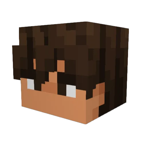 FrancoGhandi420 Minecraft avatar head, 3D render