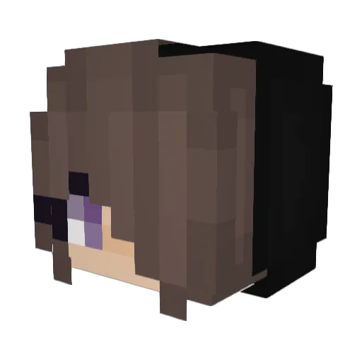 Francyyy Minecraft avatar head, 3D render