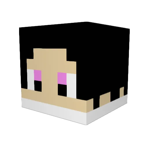 Franek15715 Minecraft avatar head, 3D render