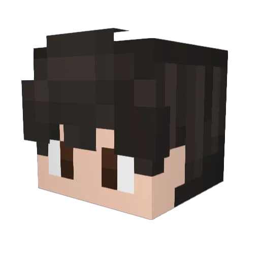 Franek_66 Minecraft avatar head, 3D render