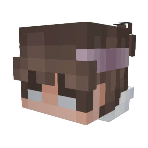 Franio201508 Minecraft avatar head, 3D render