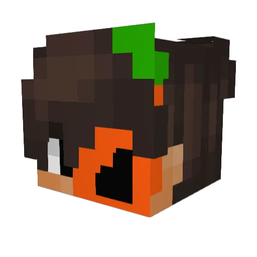 Franio2211 Minecraft avatar head, 3D render