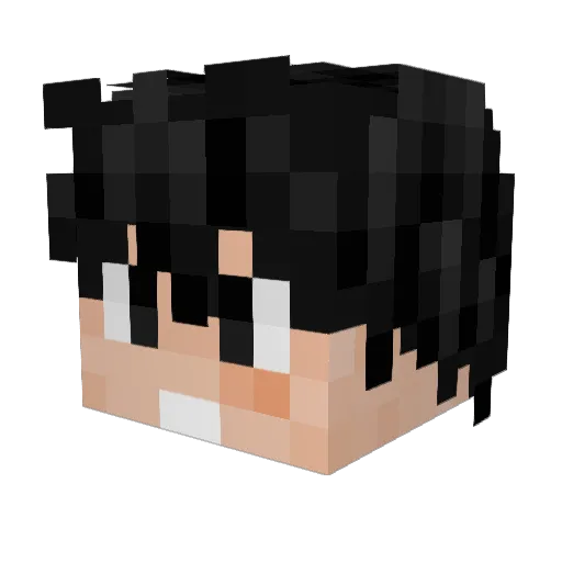 Franitc Minecraft avatar head, 3D render