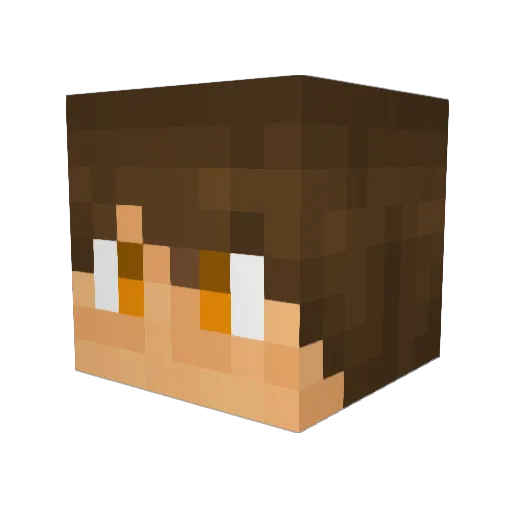 Franjo26 Minecraft avatar head, 3D render
