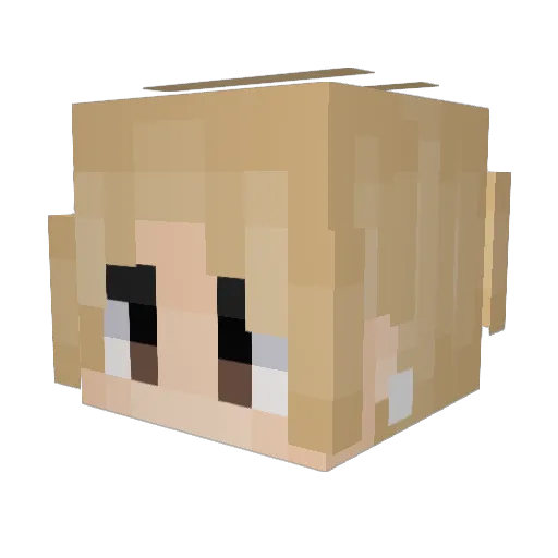 Frank1e_J Minecraft avatar head, 3D render