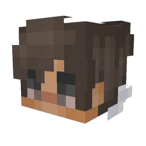 Frank2a7 Minecraft avatar head, 3D render