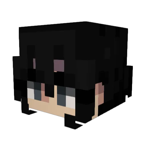 Frank3527 Minecraft avatar head, 3D render