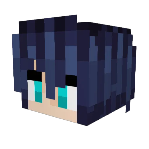 FrankChannel_22 Minecraft avatar head, 3D render