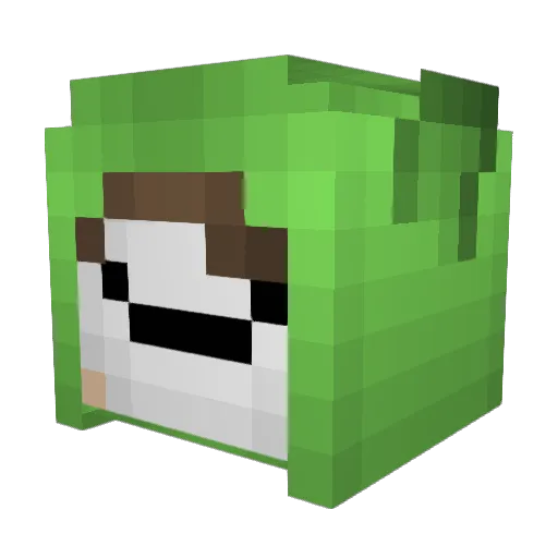FrankGamer123 Minecraft avatar head, 3D render