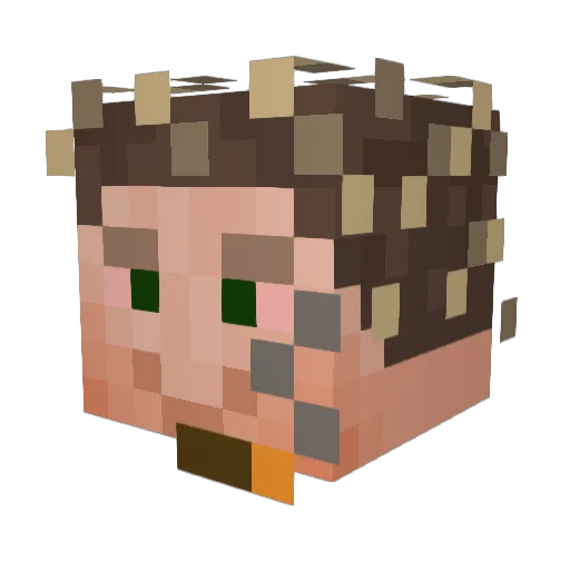 FrankMcCool Minecraft avatar head, 3D render