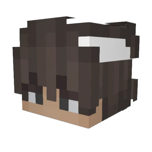 FrankSecret Minecraft avatar head, 3D render