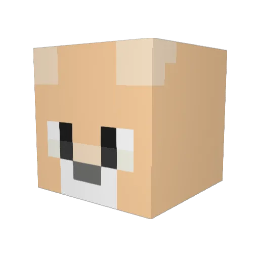 FrankStina99 Minecraft avatar head, 3D render