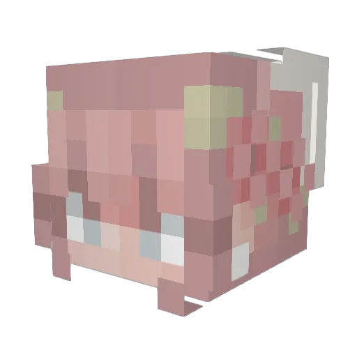 FrankTank0815 Minecraft avatar head, 3D render
