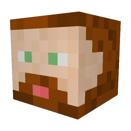 Frank_Hassle Minecraft avatar head, 3D render