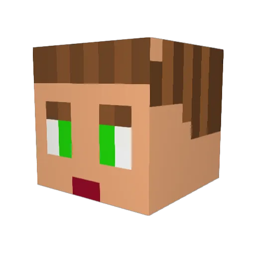 FrankchusXl Minecraft avatar head, 3D render