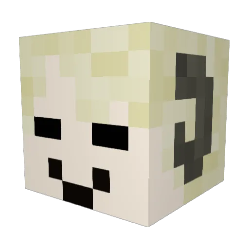 Frankie4822 Minecraft avatar head, 3D render