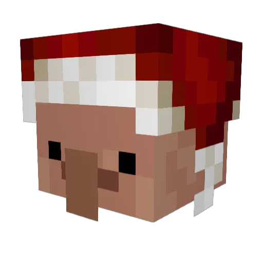 FrankieAstro Minecraft avatar head, 3D render