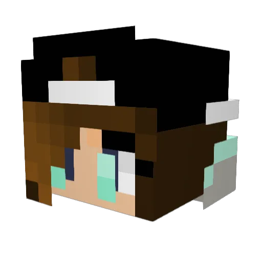 Frankiecraft Minecraft avatar head, 3D render