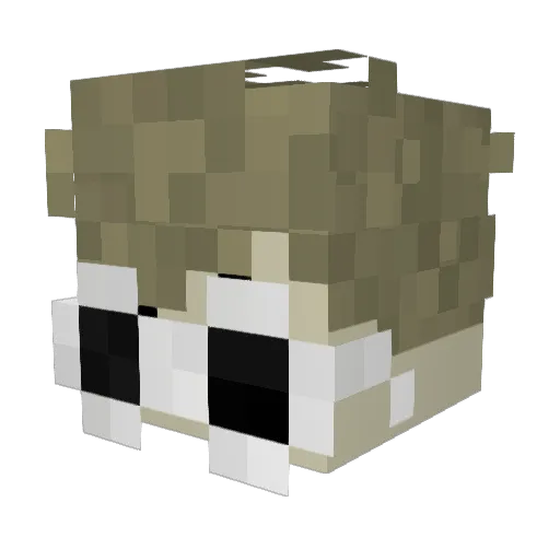 Frankko Minecraft avatar head, 3D render