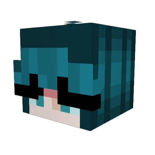 Franko4120 Minecraft avatar head, 3D render