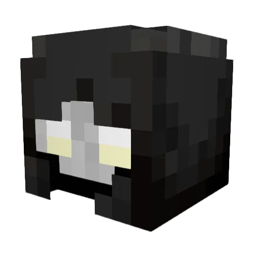 Franko8978 Minecraft avatar head, 3D render