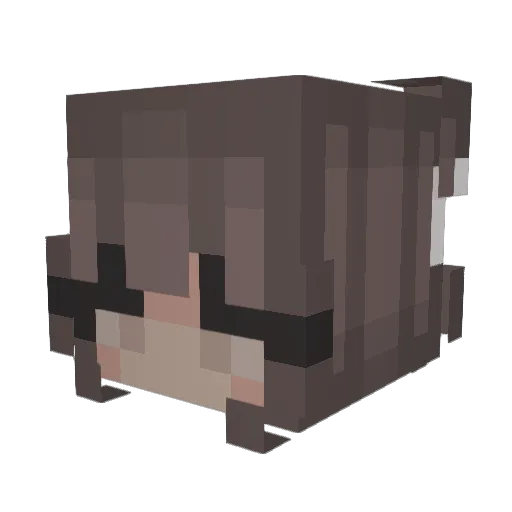FrankowskiPL Minecraft avatar head, 3D render