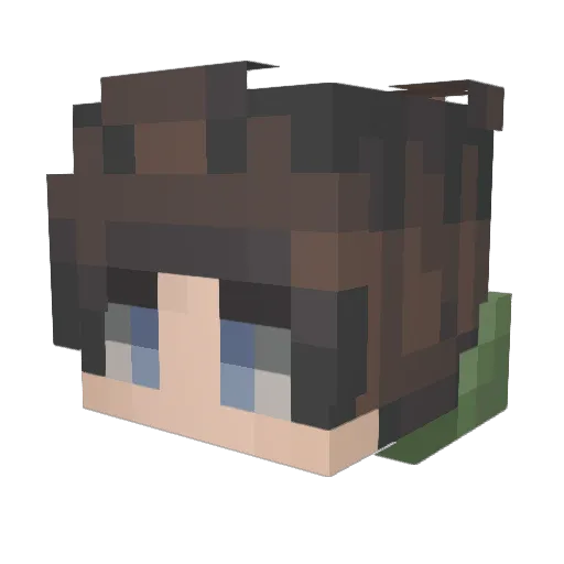 FranktheTank36 Minecraft avatar head, 3D render