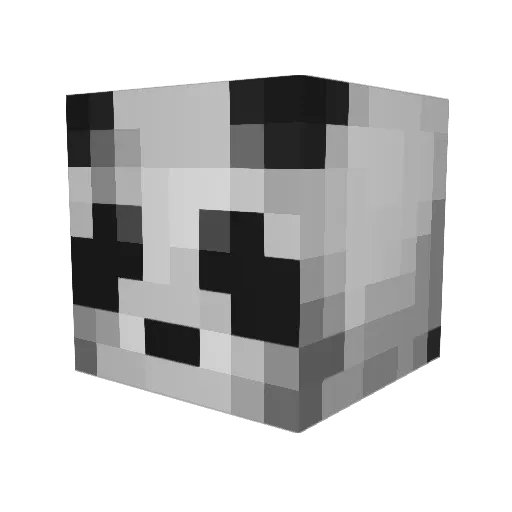 Frankus2007 Minecraft avatar head, 3D render