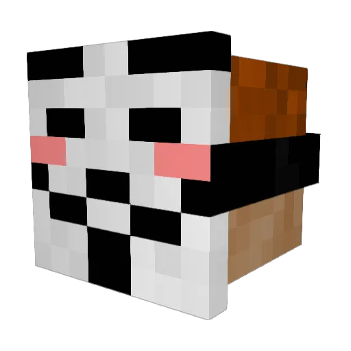 FrankyTheTurtle Minecraft avatar head, 3D render