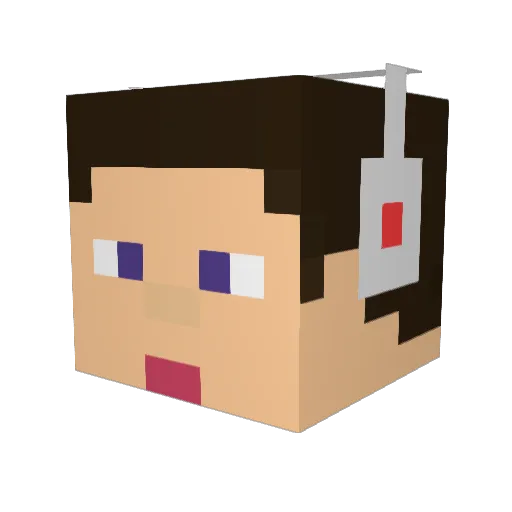 Frankysmogs Minecraft avatar head, 3D render