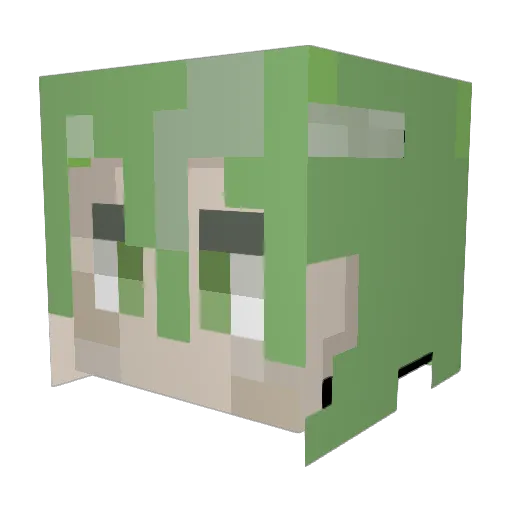 Franma576 Minecraft avatar head, 3D render