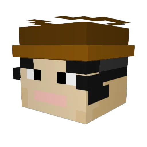 Franmeiser5000 Minecraft avatar head, 3D render