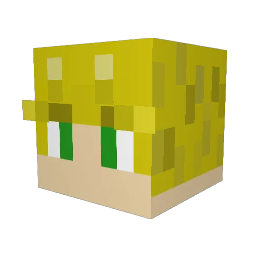 Frann____ Minecraft avatar head, 3D render