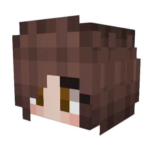 Frannekin Minecraft avatar head, 3D render
