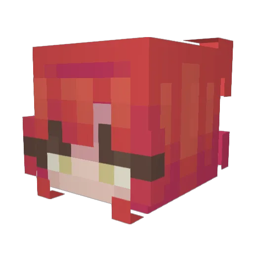 FrannieB0i Minecraft avatar head, 3D render