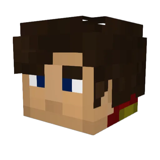 Frannie_27 Minecraft avatar head, 3D render