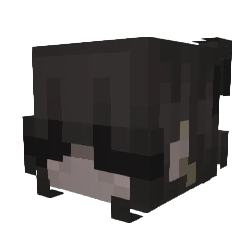 Frannn1818 Minecraft avatar head, 3D render