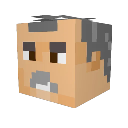 Franns1 Minecraft avatar head, 3D render