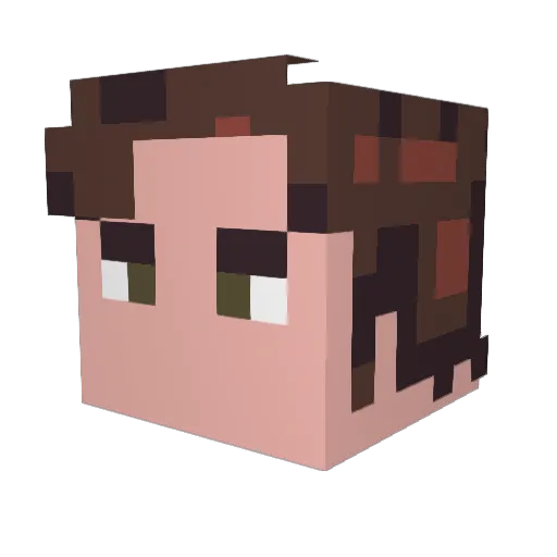 Franpascu Minecraft avatar head, 3D render