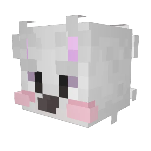 Franpsot Minecraft avatar head, 3D render