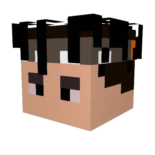 Franquii Minecraft avatar head, 3D render