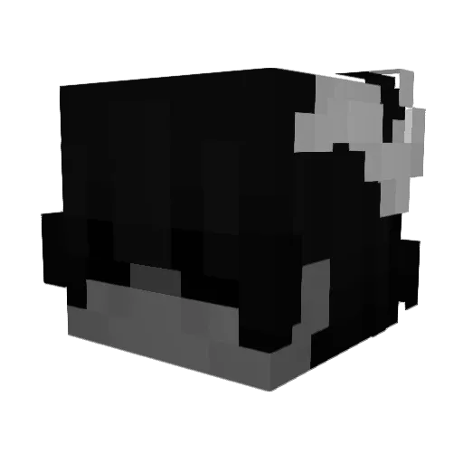 Fransi100 Minecraft avatar head, 3D render