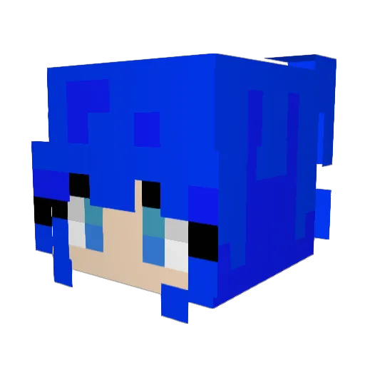 FranticPaint19 Minecraft avatar head, 3D render