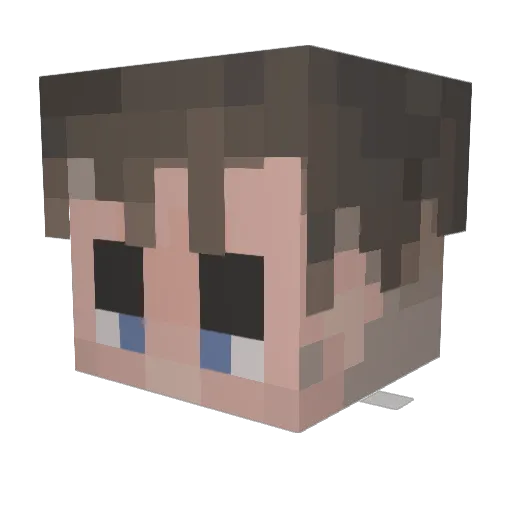 Frantisek2009 Minecraft avatar head, 3D render